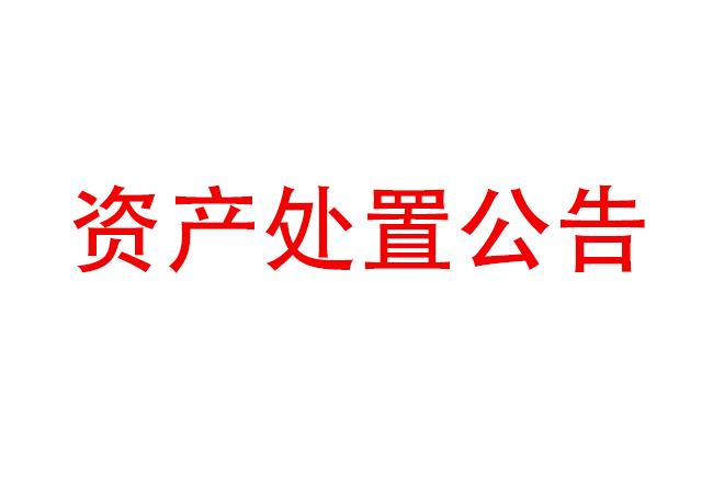 閑置設(shè)備資產(chǎn)處置公告(2023-9)